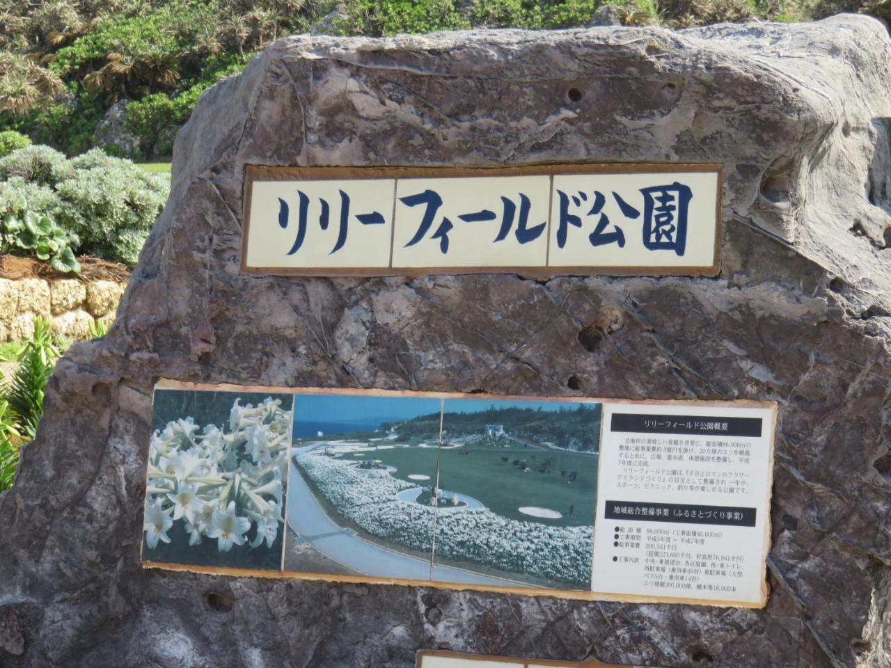 Okinawa Freedom Villa Nakijin Buitenkant foto