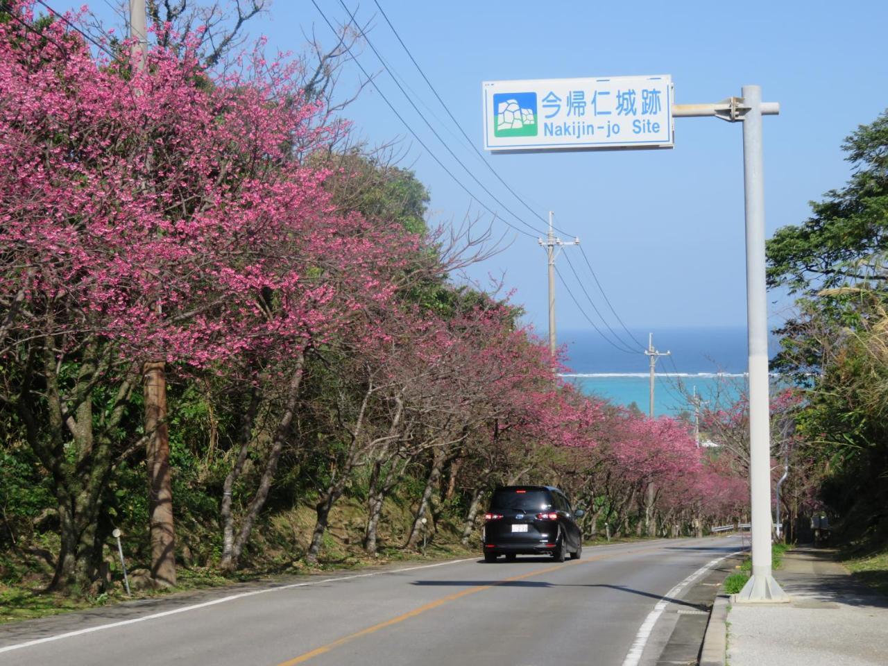 Okinawa Freedom Villa Nakijin Buitenkant foto