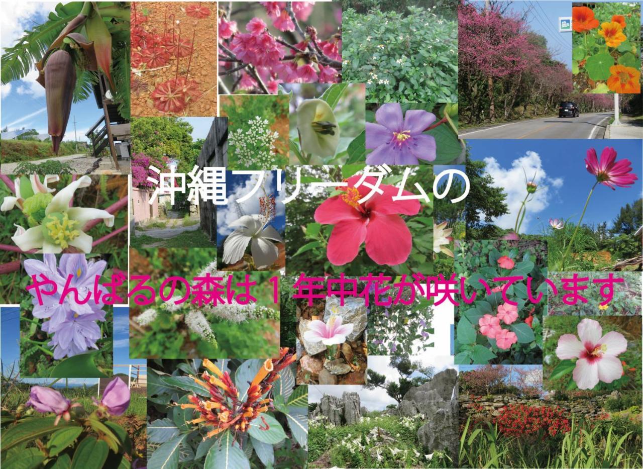 Okinawa Freedom Villa Nakijin Buitenkant foto