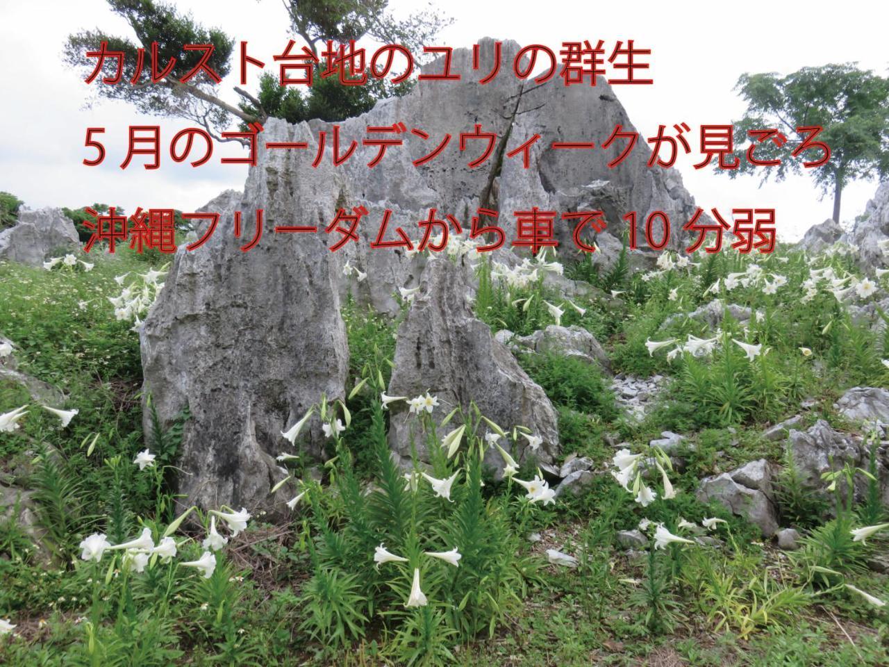 Okinawa Freedom Villa Nakijin Buitenkant foto