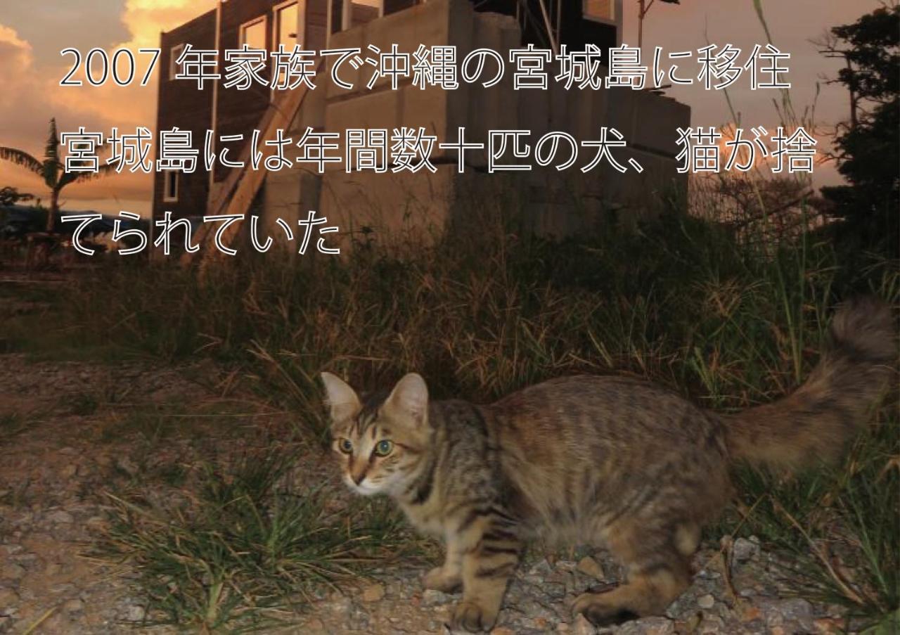Okinawa Freedom Villa Nakijin Buitenkant foto